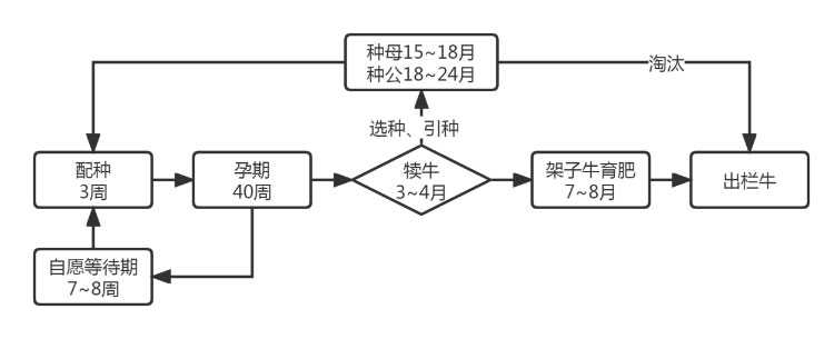 CC-CC()¼ƽ̨